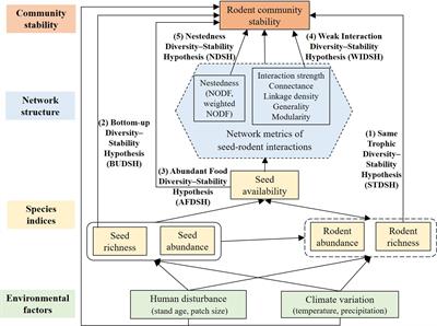 High seed diversity and availability increase rodent community stability under <mark class="highlighted">human disturbance</mark> and climate variation